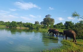 Kuma Safari Lodge